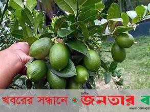 গরমে লেবু পানির উপকারিতা